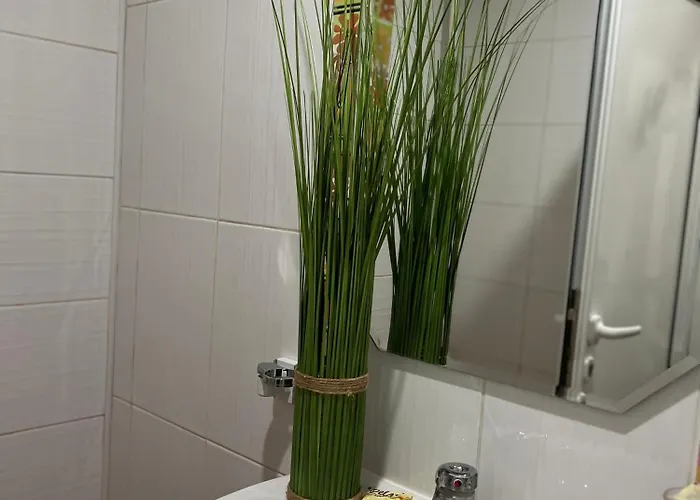 Krum * Търговище